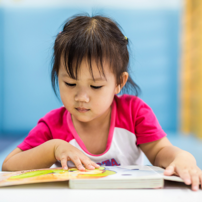 Raising Readers: 6 Tips on Teaching your Child to Read at Home