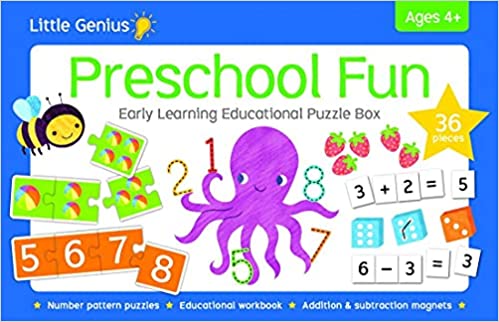 Little Genius Preschool Fun Early Learning Puzzle Box