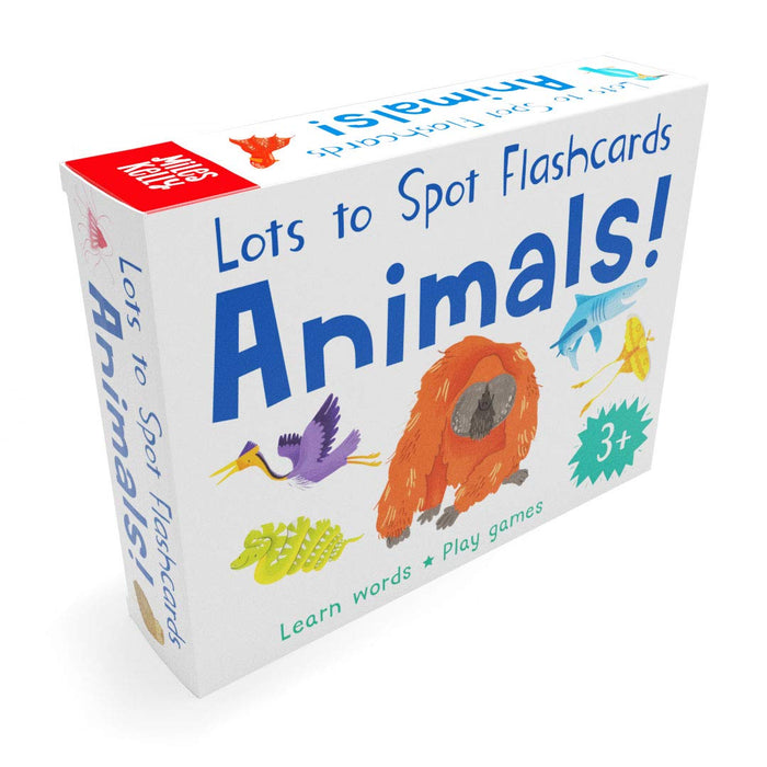 Early Learning EYFS Lots to Spot Flashcards Set, Under the Sea, Bugs, Animals & Dinosaurs
